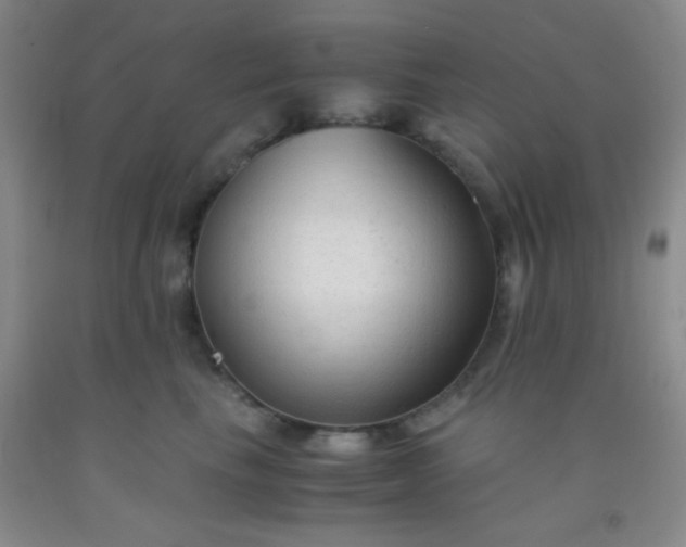 X0000092020665200709201553