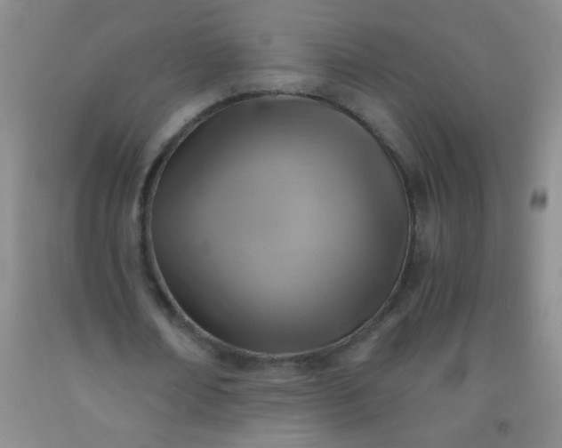 X0000092020674200709201552