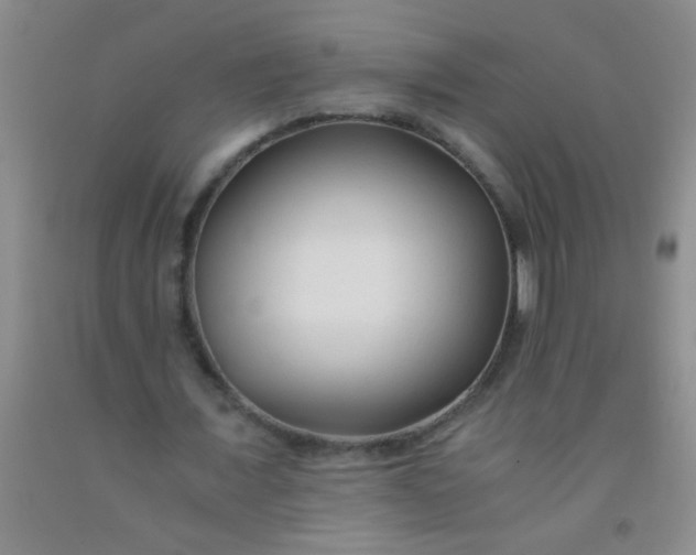 X0000092020675200709201552