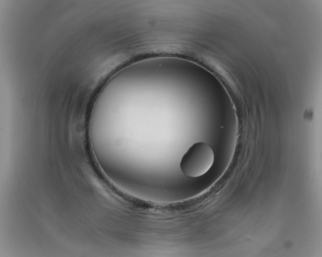 X0000092020677200709201552