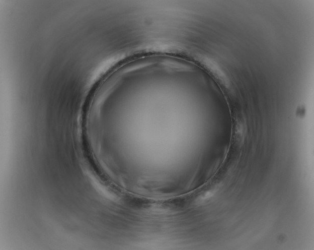 X0000092020678200709201552