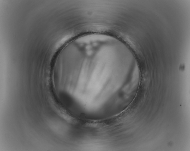 X0000092020679200709201552