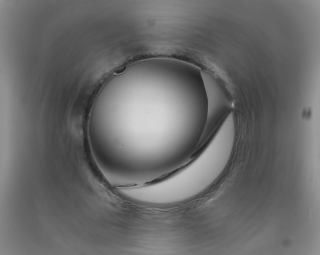 X0000092020681200709201552