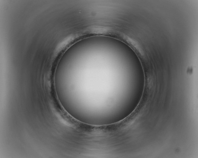 X0000092020682200709201552