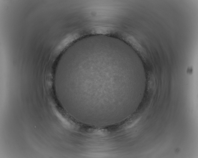 X0000092020683200709201552