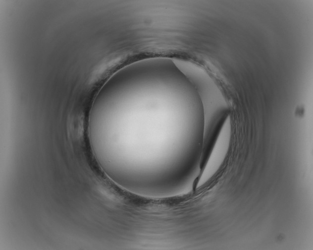 X0000092020685200709201552