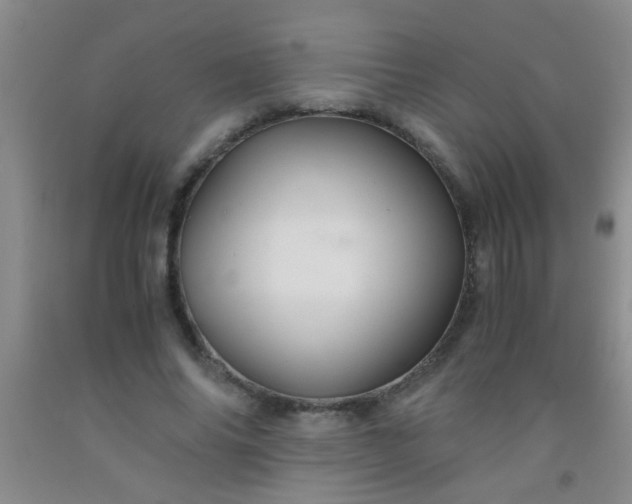 X0000092020686200709201552