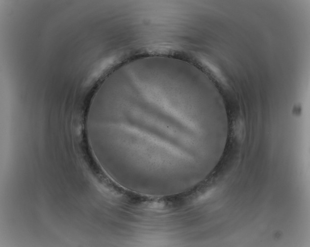 X0000092020687200709201552