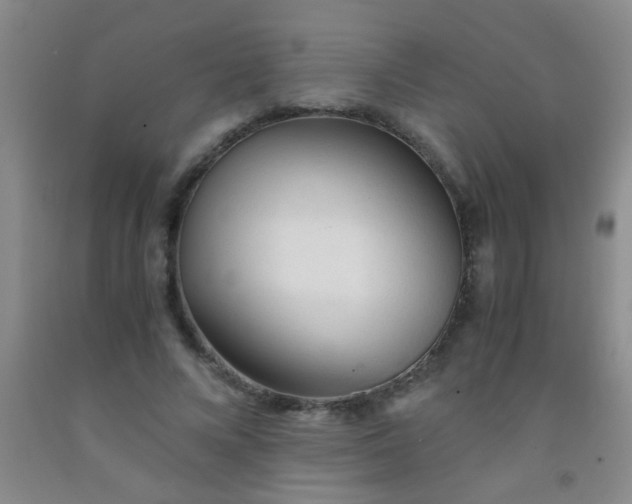 X0000092020688200709201552