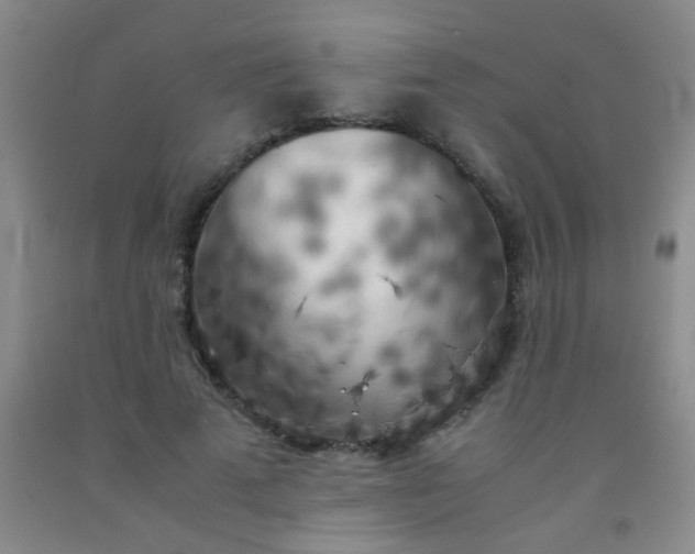 X0000092020689200709201552