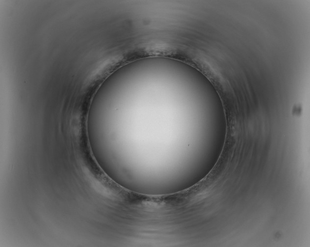 X0000092020690200709201552