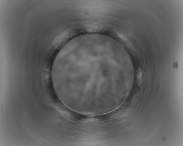 X0000092020691200709201552