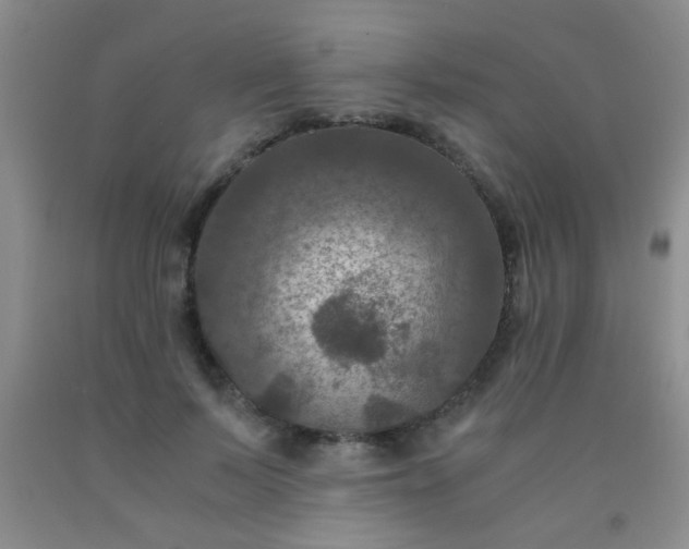 X0000092020695200709201552