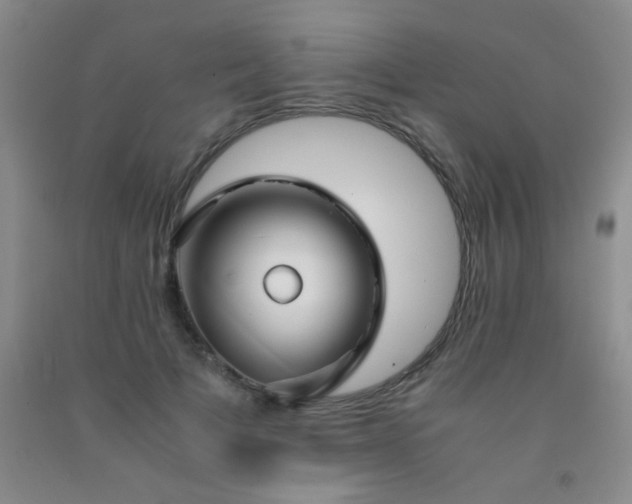 X0000092020697200709201552