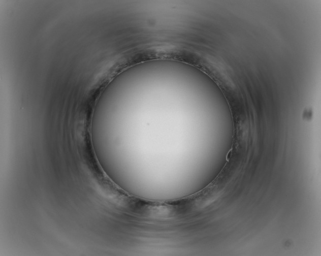 X0000092020698200709201552