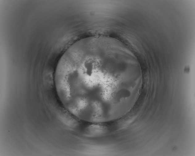 X0000092020699200709201552