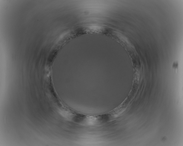 X0000092020701200709201552