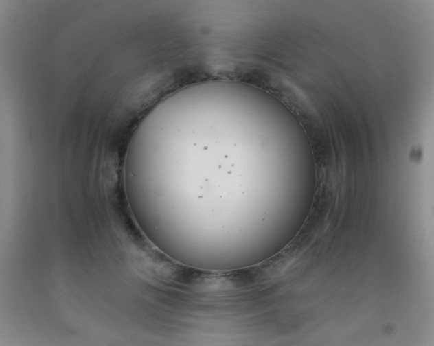 X0000092020702200709201552