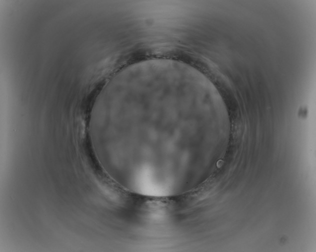 X0000092020703200709201552