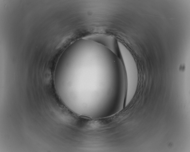 X0000092020704200709201552