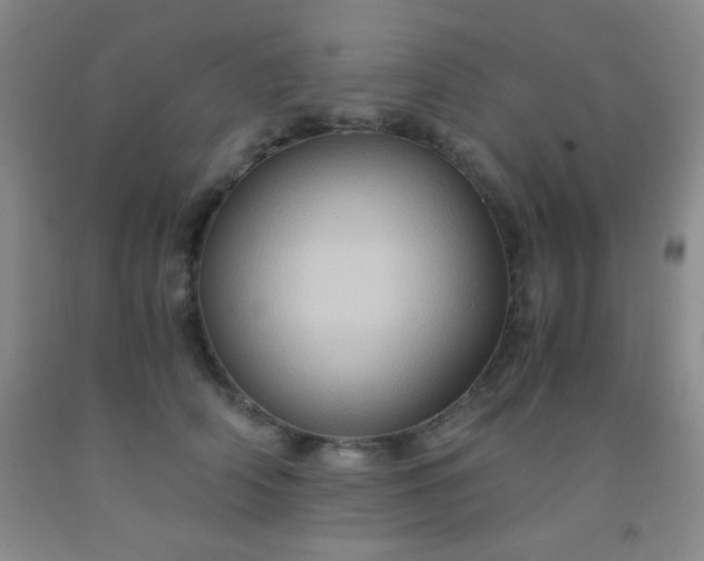 X0000092020706200709201552