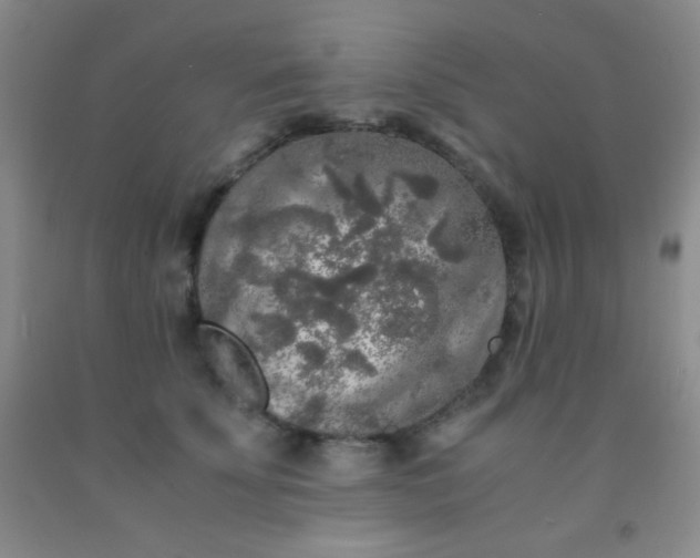 X0000092020707200709201552