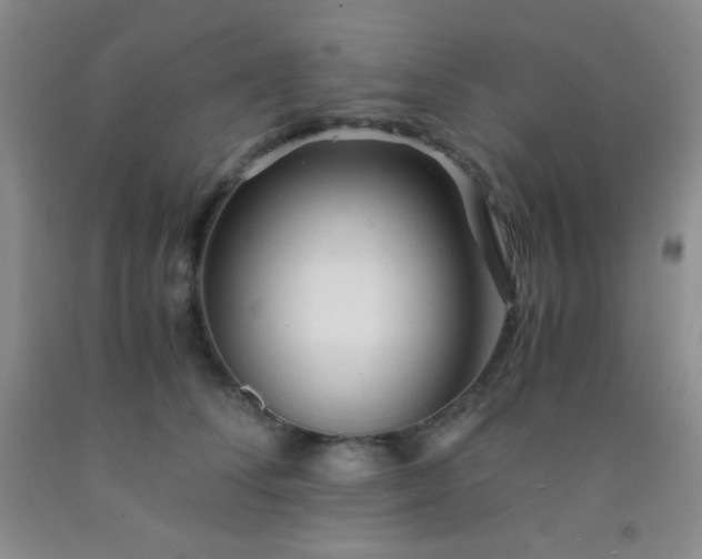 X0000092020708200709201552