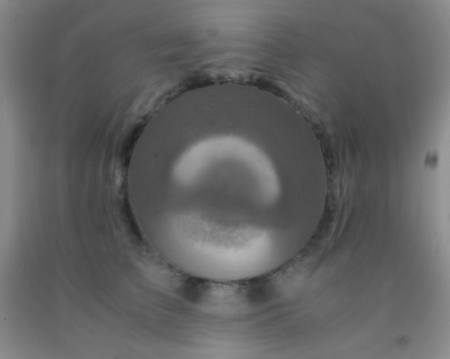 X0000092020709200709201552