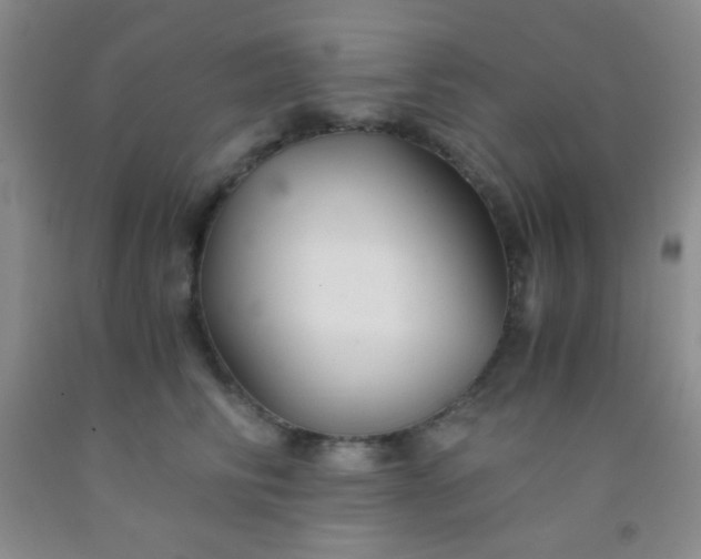 X0000092020710200709201552