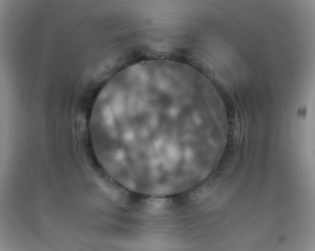 X0000092020711200709201552