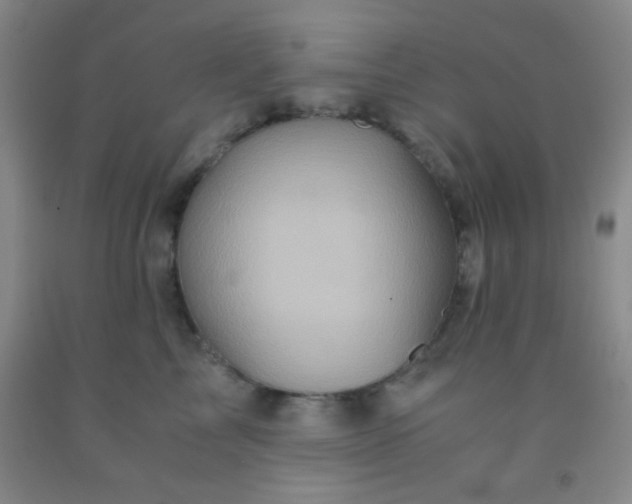 X0000092020713200709201552