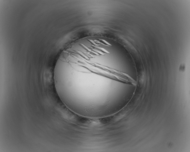 X0000092020715200709201551