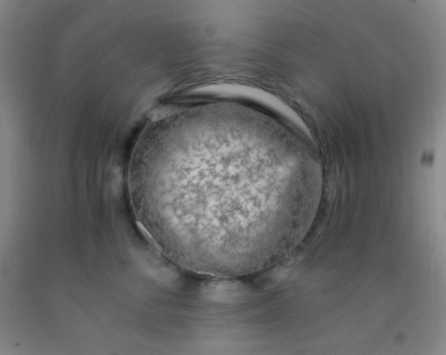 X0000092020716200709201551