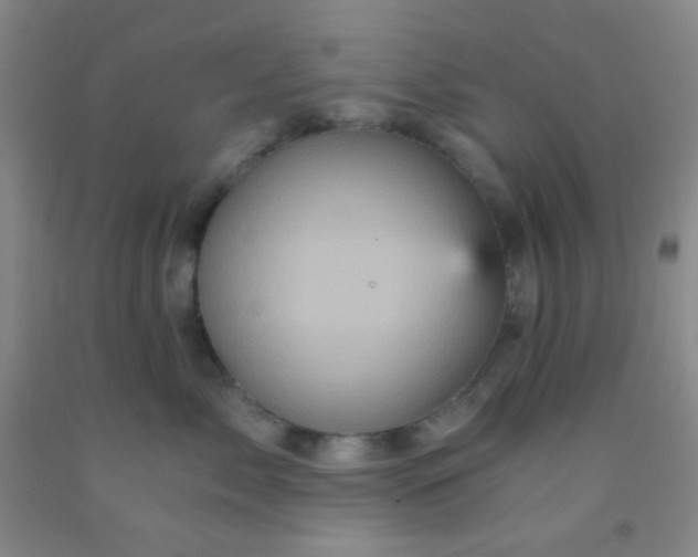 X0000092020717200709201551