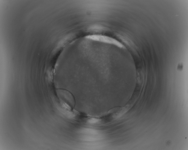 X0000092020718200709201551