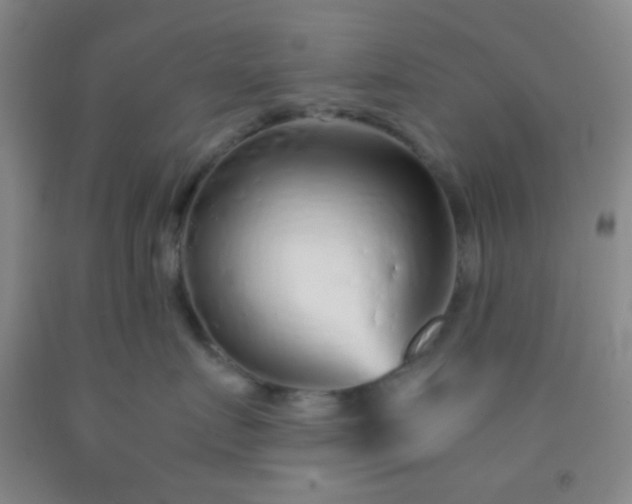 X0000092020719200709201551