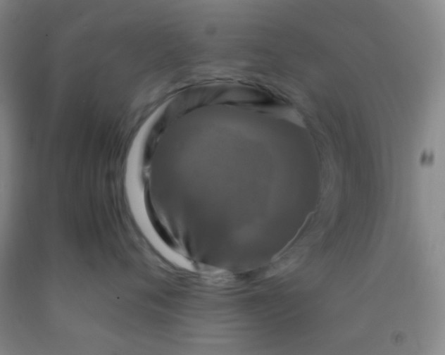 X0000092020720200709201551