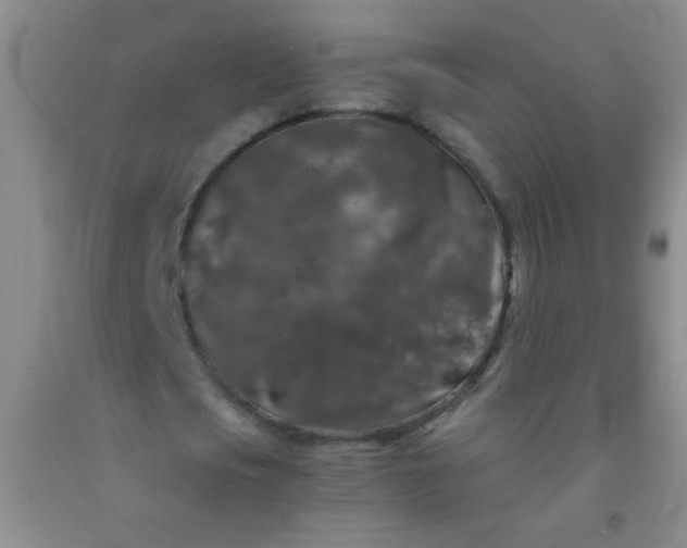 X0000092020721200709201551