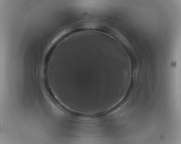 X0000092020722200709201551