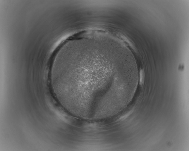 X0000092020723200709201551