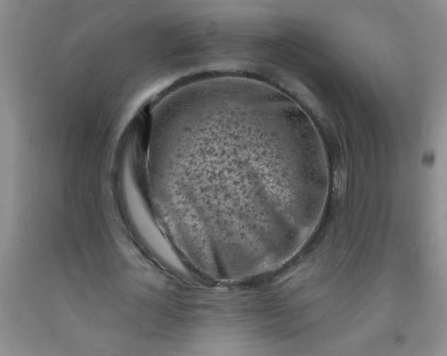 X0000092020724200709201551