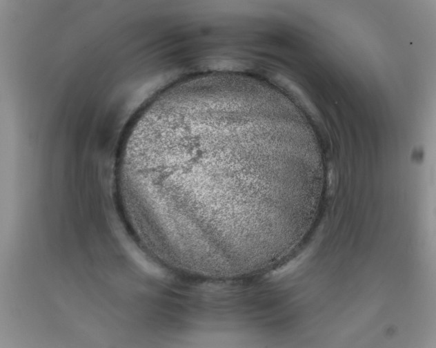 X0000092020725200709201551