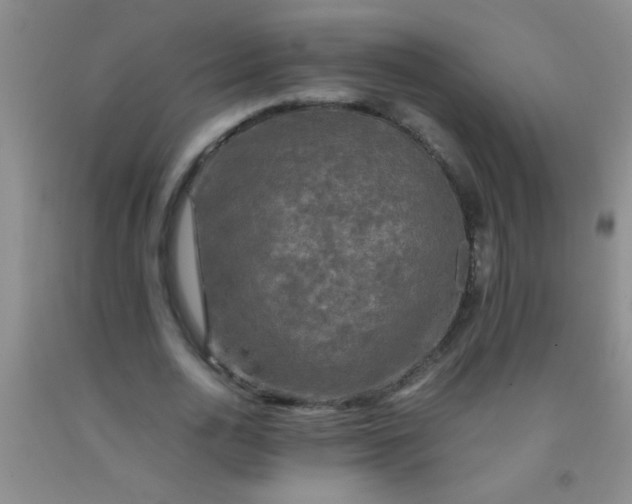 X0000092020726200709201551