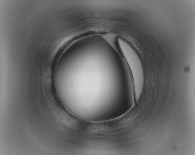 X0000092020727200709201551