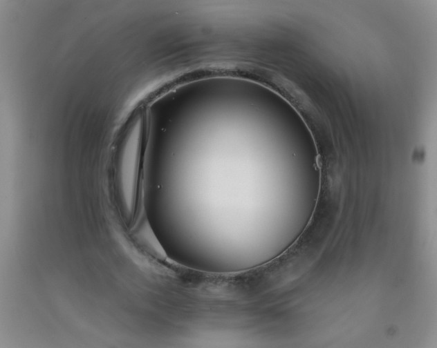 X0000092020728200709201551