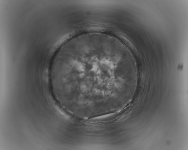 X0000092020729200709201551