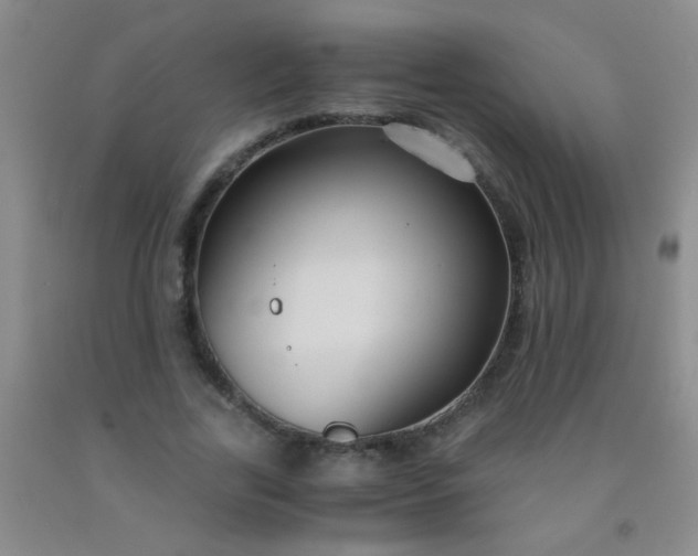 X0000092020731200709201551