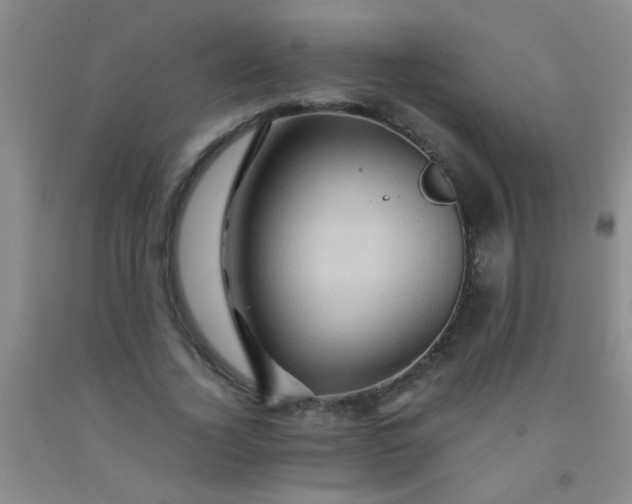 X0000092020732200709201551