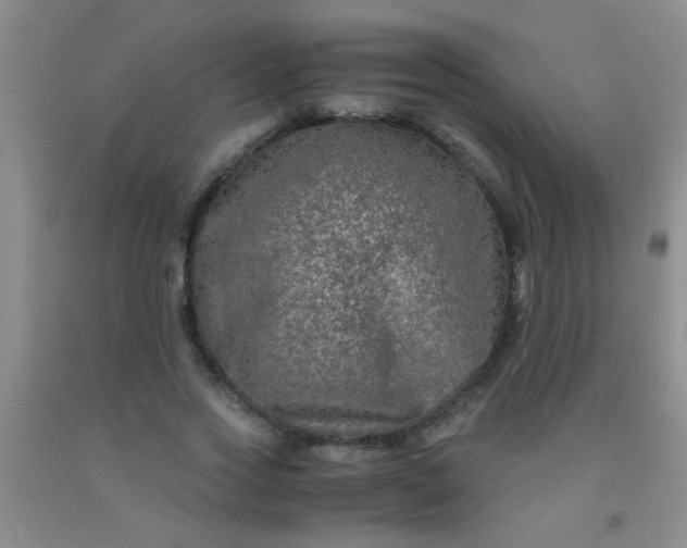 X0000092020733200709201551