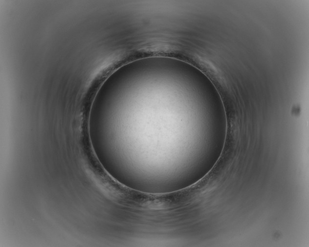 X0000092020735200709201551